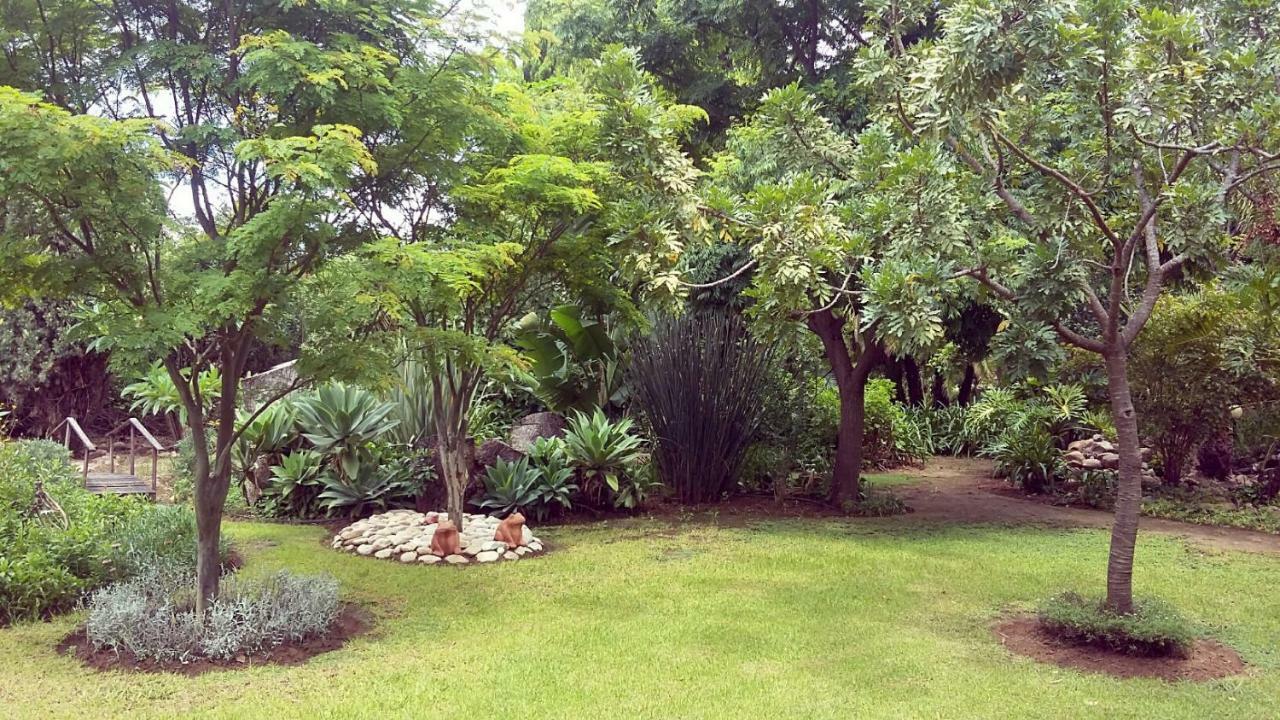 Beyond Cui Bono Guesthouse Addo Extérieur photo
