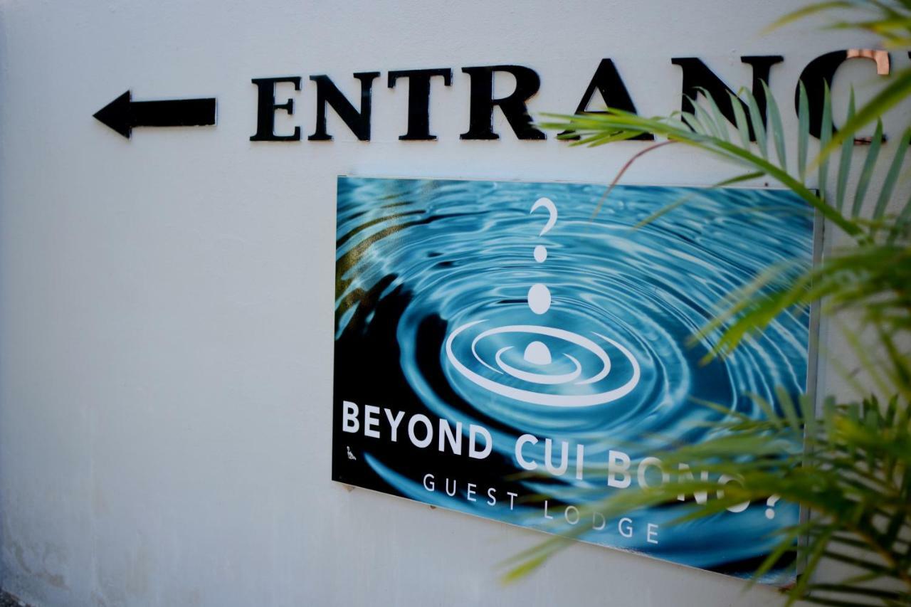 Beyond Cui Bono Guesthouse Addo Extérieur photo
