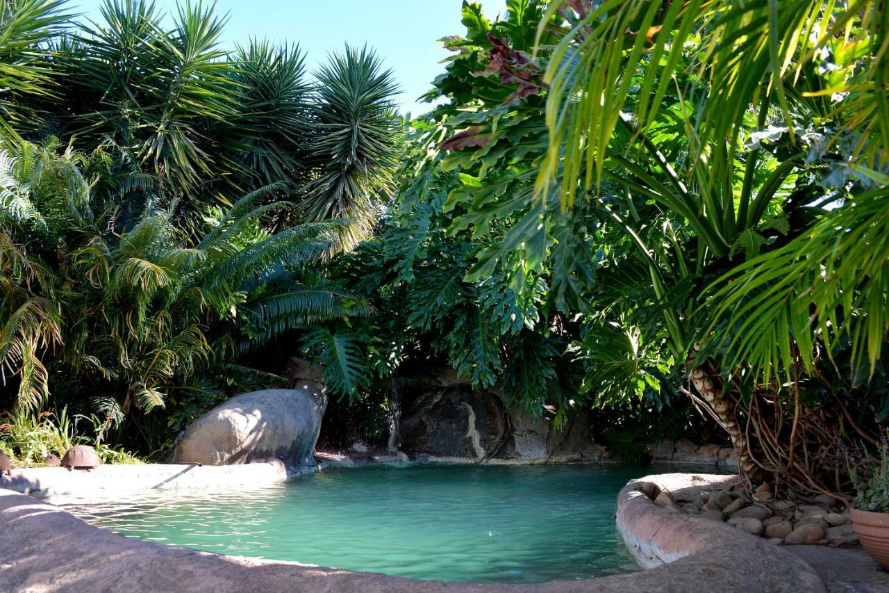 Beyond Cui Bono Guesthouse Addo Extérieur photo